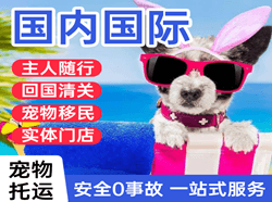 遵义新舟空运地址国际宠物托运 【国
